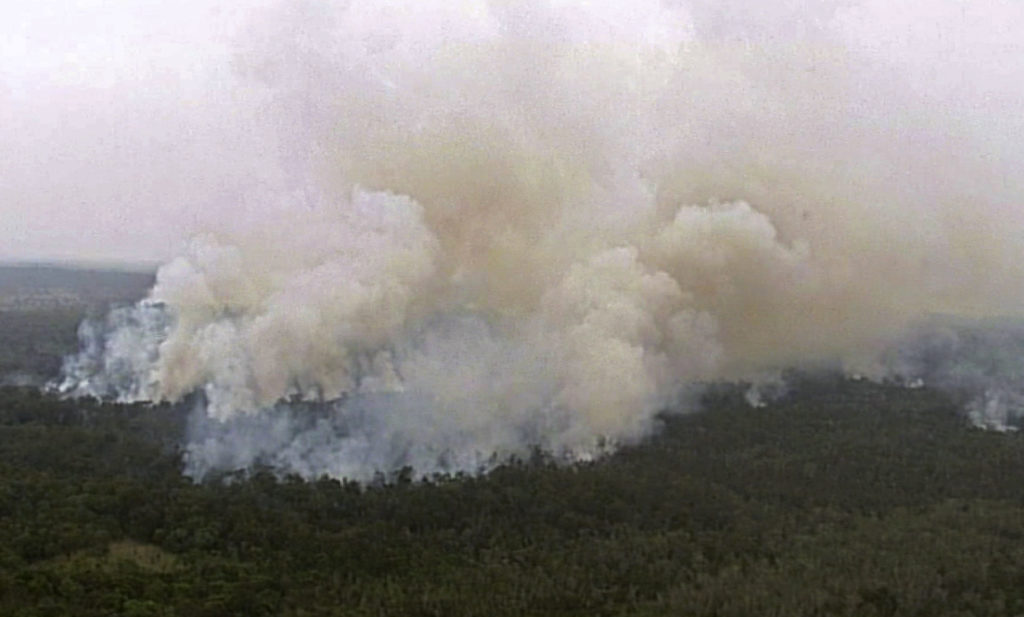 Νέα Ζηλανδία: Δασική πυρκαγιά καίει από την προηγούμενη εβδομάδα