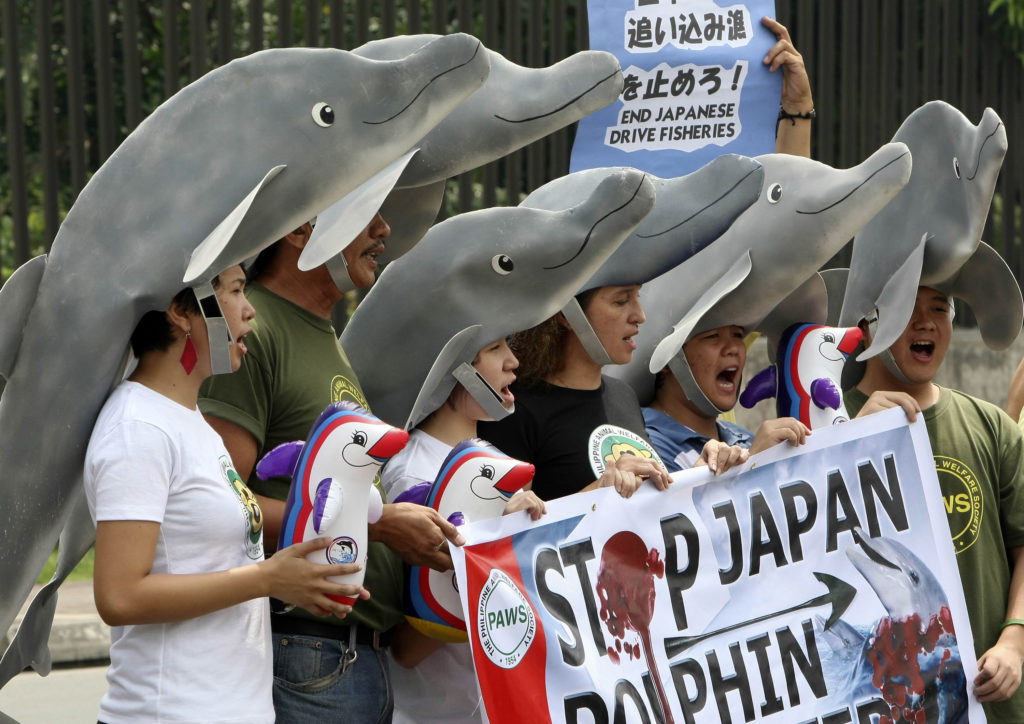 Ιαπωνία: Προσφυγή στη δικαιοσύνη για την ετήσια σφαγή των δελφινιών