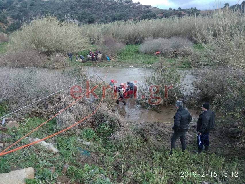 Μεγάλη επιχείρηση της ΕΜΑΚ στην Κρήτη για εγκλωβισμένα ζώα από «φουσκωμένο» ποτάμι (Video)