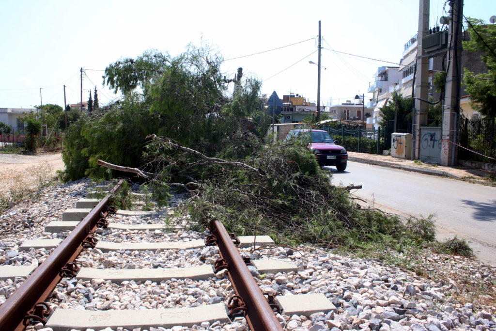 Καιρός: Πάνω από 280 κλήσεις  δέχτηκε η Πυροσβεστική για κοπές δέντρων