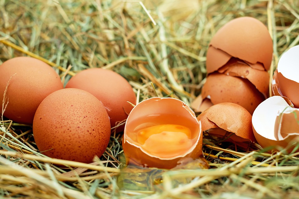 Άσχημα νέα για τους φίλους των αβγών – Τι δείχνουν τα ευρήματα έρευνας