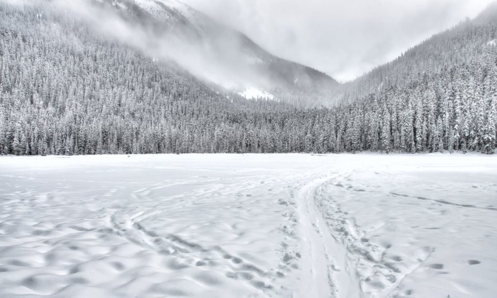 Τεράστια χιονοστιβάδα «καταπίνει» δρόμο και οχήματα στο Κολοράντο (Video)