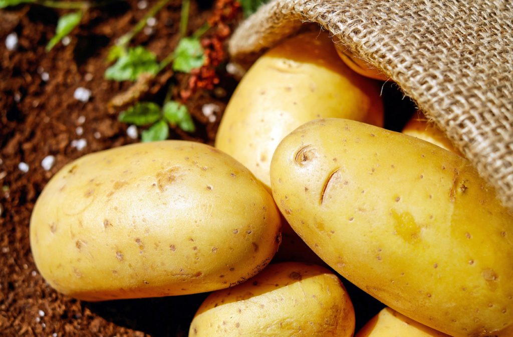 Τι πρέπει να ξέρετε για το φύτεμα της πατάτας σε μπαλκόνι και κήπο