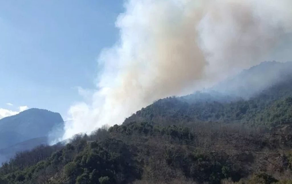 Μεγάλη φωτιά κάτω από την Ελάτη Τρικάλων – Συναγερμός στην πυροσβεστική (Photos)