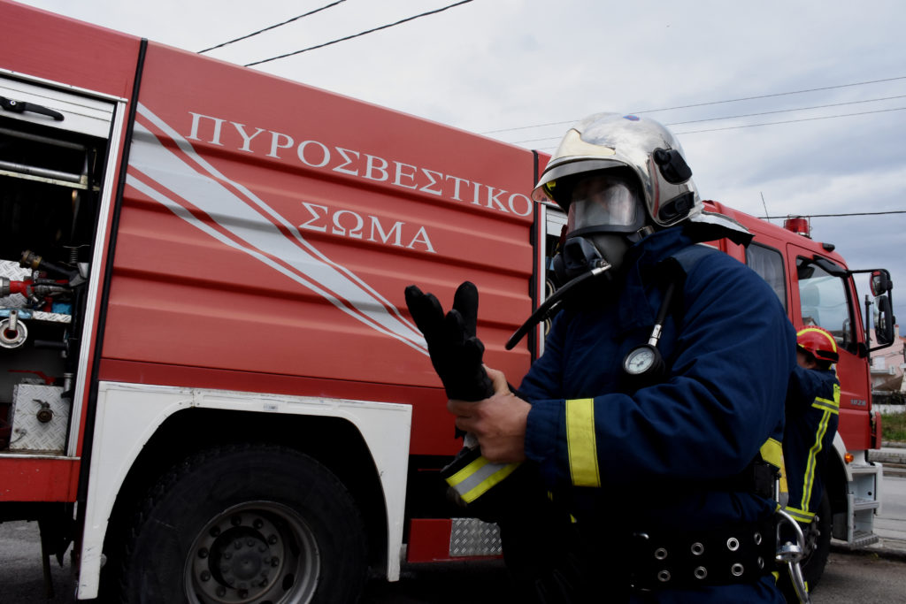 Θεσσαλονίκη: Δεκάδες κατοικίδια κάηκαν ζωντανά σε φωτιά