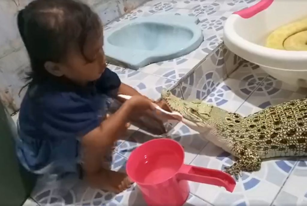 Το βίντεο που «έριξε» το διαδίκτυο: Κοριτσάκι βουρτσίζει τα δόντια ενός μικρού… κροκόδειλου (Video)