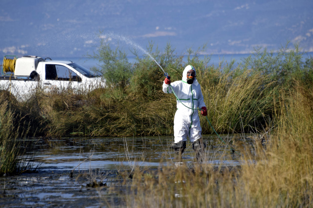 Κουνούπια: Μπήκε η άνοιξη κι αρχίζουν οι ψεκασμοί