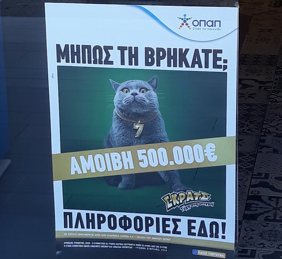 Kυνήγι σε όλη την Ελλάδα για μία γάτα με αμοιβή 500.000 ευρώ