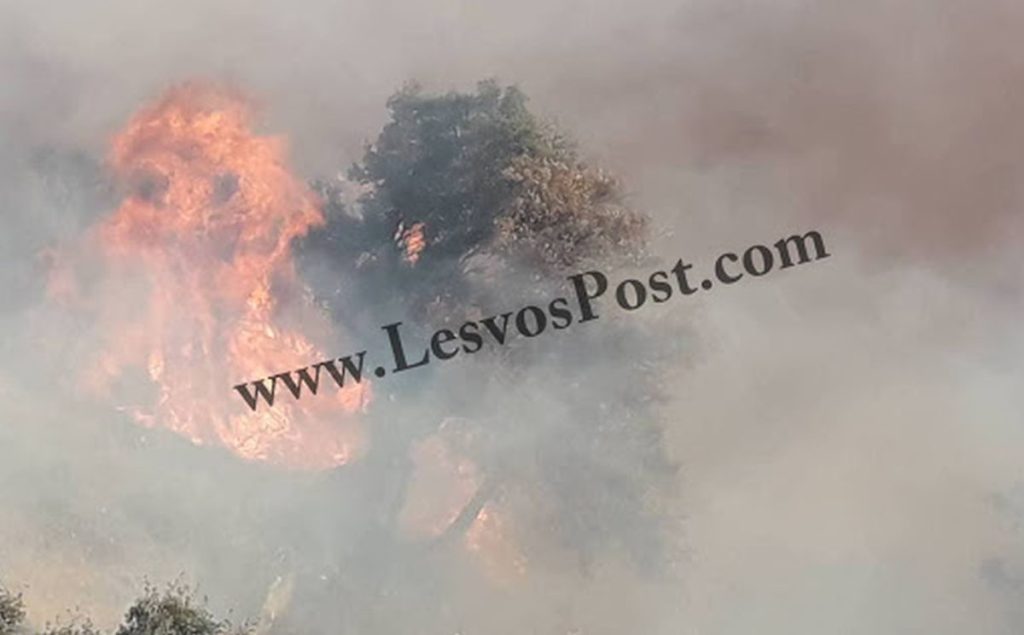 Μεγάλη φωτιά στη Λέσβο (Photos)