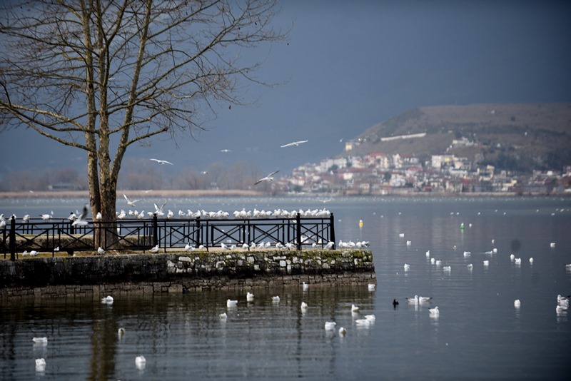 Φάμελλος: Τον Απρίλιο στο ΣτΕ το Προεδρικό Διάταγμα, για τη λίμνη των Ιωαννίνων