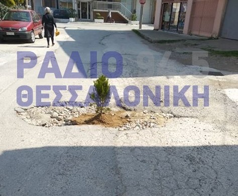 Θεσσαλονίκη: Φύτεψε δέντρο σε λακκούβα του δρόμου (Photos)