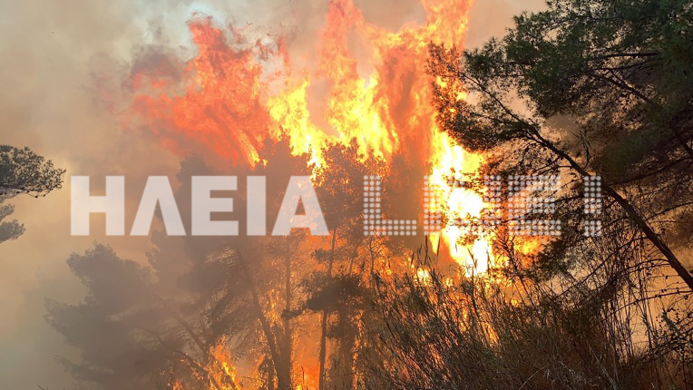 Πύρινη «κόλαση» στην Ηλεία: Εικόνες καταστροφής στο προστατευμένο δάσος του Κουνουπελίου (Video & Photos)