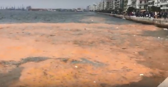 Βάφτηκε… κόκκινος ο Θερμαϊκός με λύματα και πλαστικά σκουπίδια να επιπλέουν (Video)