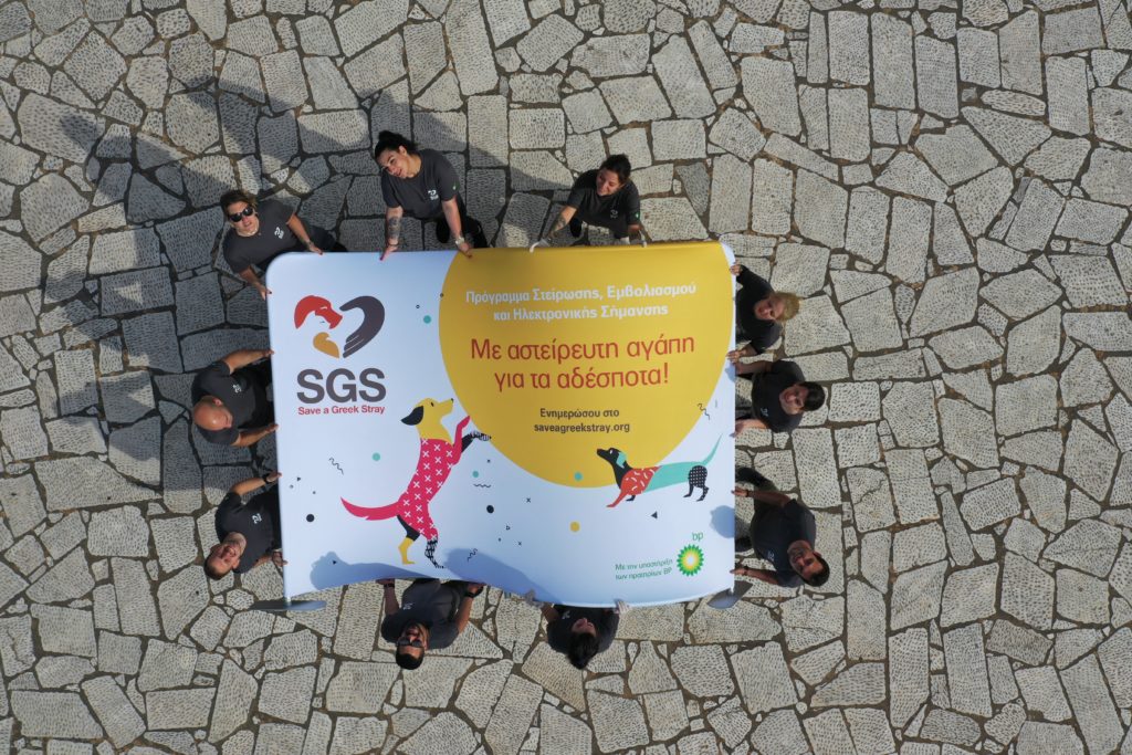 «Με αστείρευτη αγάπη για τα αδέσποτα» – Η SGS και τα πρατήρια BP συμπράττουν για 2η φορά για καλό σκοπό