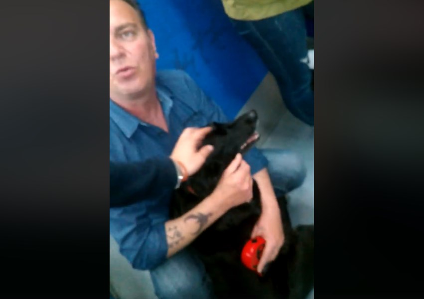 Χαμός στον ΗΣΑΠ: Οδηγός σταμάτησε το τρένο γιατί ενοχλήθηκε από σκυλί σε βαγόνι (Video)