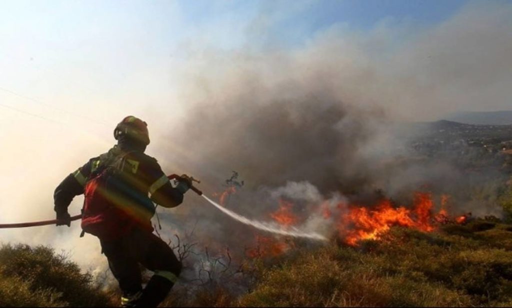 Φωτιά στο δάσος Δραγουντέλι στη Βουρβουρού Χαλκιδικής