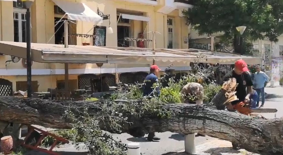 Πτώση μεγάλου δέντρου προκάλεσε αναστάτωση στο κέντρο της Θεσσαλονίκης (video)