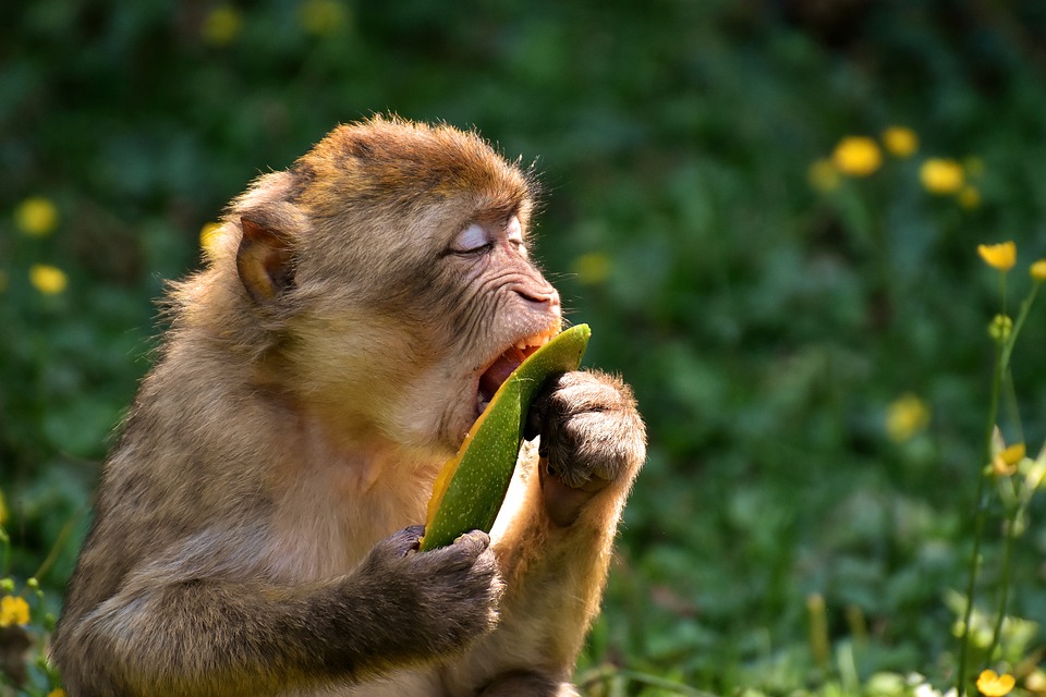 Προϊόντα «μαϊμού»: 1,3 δισ. οι απώλειες στην Ελλάδα – 60 δισ. παγκοσμίως