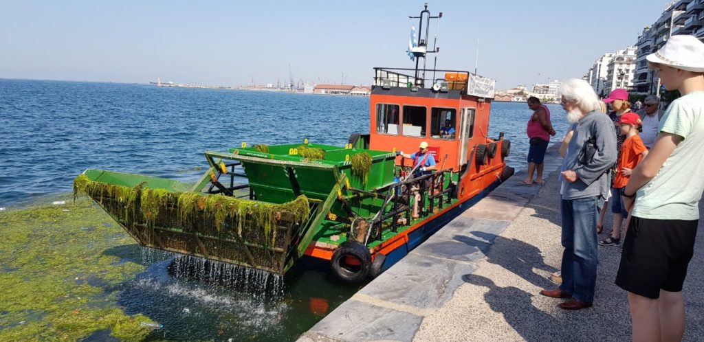 Θεσσαλονίκη: Μαζεύουν νεκρά ποντίκια και απόβλητα από τον Θερμαϊκό