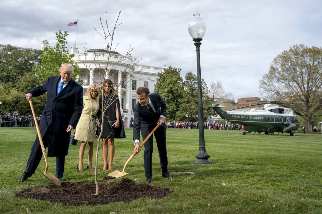 Ξεράθηκε το δέντρο φιλίας που φύτεψαν Μακρόν και Τραμπ στον Λευκό Οίκο!