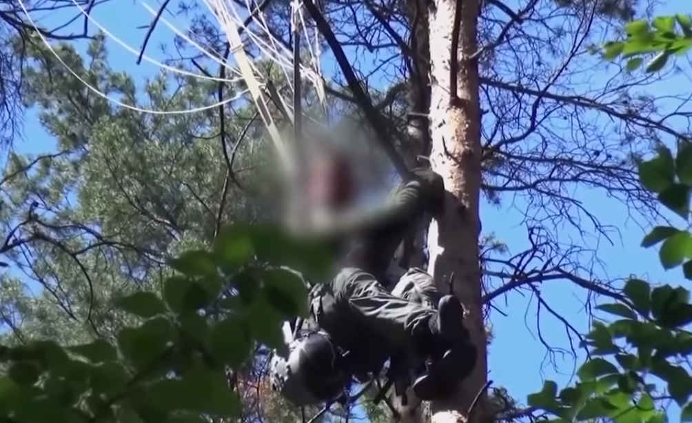 Βίντεο – ντοκουμέντο από τη διάσωση του πιλότου του γερμανικού Eurofighter που βρέθηκε πάνω σε δέντρο