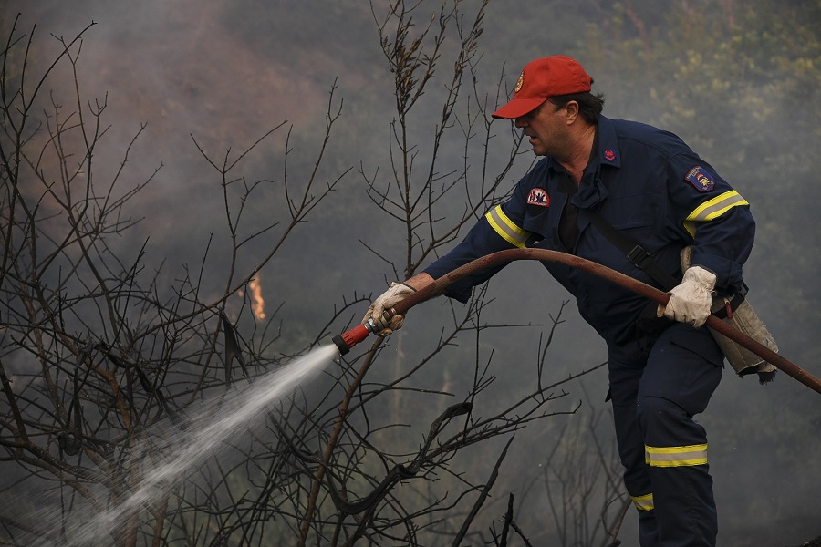 Μαίνεται η πυρκαγιά στην Τανάγρα: Επί ποδός ισχυρές δυνάμεις της Πυροσβεστικής (Photos)