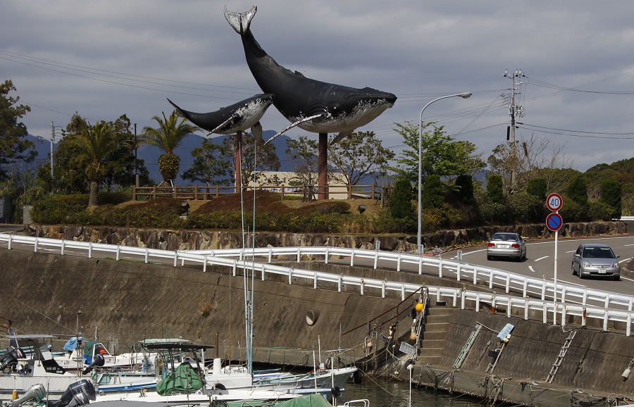Η Ιαπωνία (ξανά) σκοτώνει φάλαινες για εμπορικούς σκοπούς