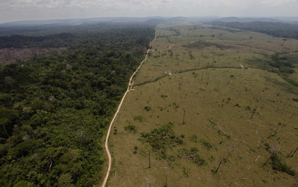 Αμαζόνιος: Ο πνεύμονας της Γης ξηλώνεται με ραγδαίους ρυθμούς στη Βραζιλία του Μπολσονάρου
