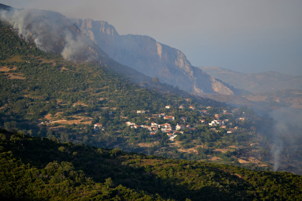 Από εμπρησμό η φωτιά στην Εύβοια – Συνελήφθη 64χρονος