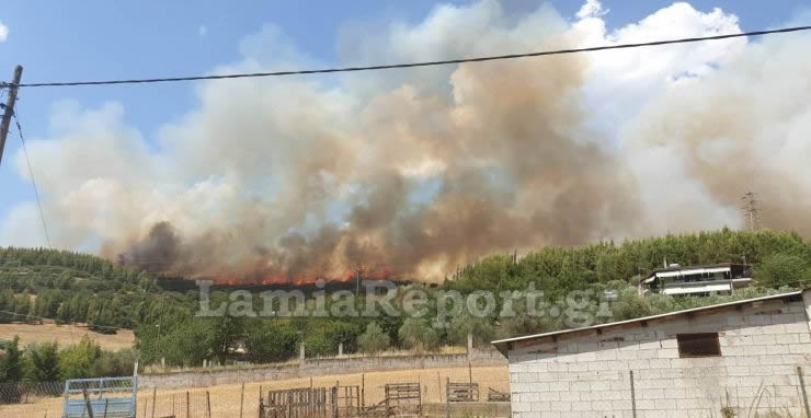 Πυρκαγιά σε δασική έκταση στη Φθιώτιδα (Photos & Video)