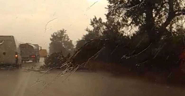Από την μία καύσωνας και από την άλλη βροχές – Έπεσε χαλάζι στη Θεσσαλία, ξεριζώθηκαν δέντρα (Photos – Video)