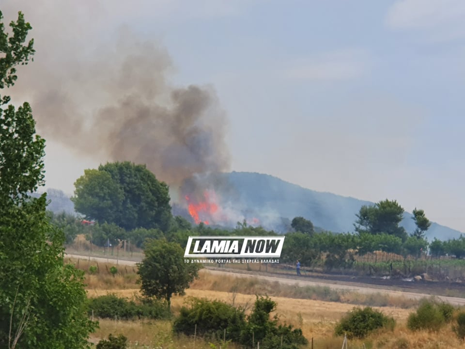 Πυρκαγιά στη Δίρβη Φθιώτιδας – Η φωτιά πέρασε δίπλα από σπίτια (Photos & Video)