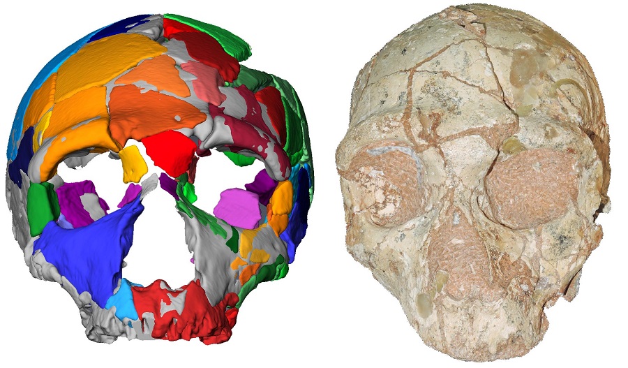 Ένα κρανίο 210.000 ετών από την Ελλάδα είναι το αρχαιότερο δείγμα Homo sapiens στην Ευρασία