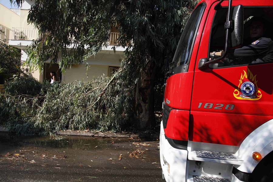 Επτά τραυματίες από πτώση δέντρου στα Οινόφυτα