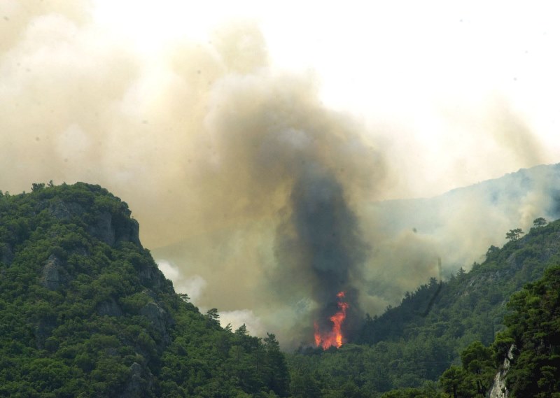 Λαμία: Πυρκαγιά από κεραυνό στον Εθνικό Δρυμό της Οίτης