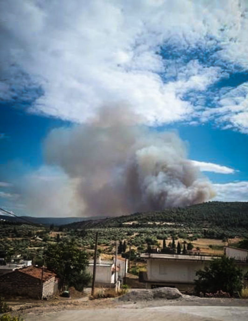 Σε ύφεση η φωτιά στην Τανάγρα