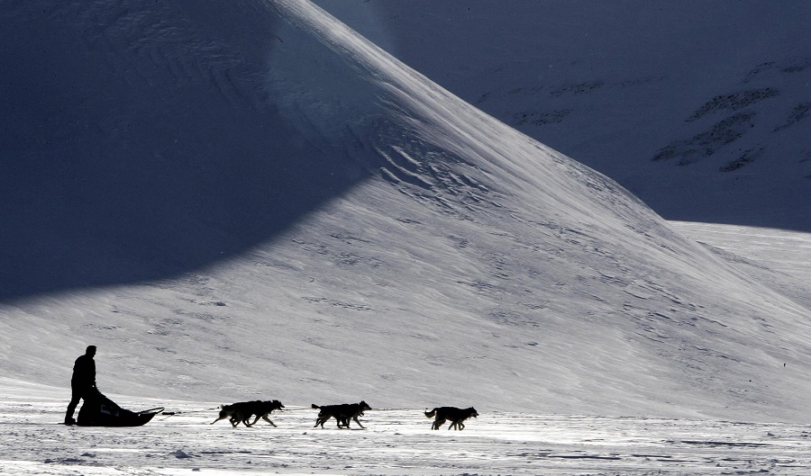«Θερίζει» η κλιματική αλλαγή: 200 τάρανδοι βρέθηκαν νεκροί στην Αρκτική