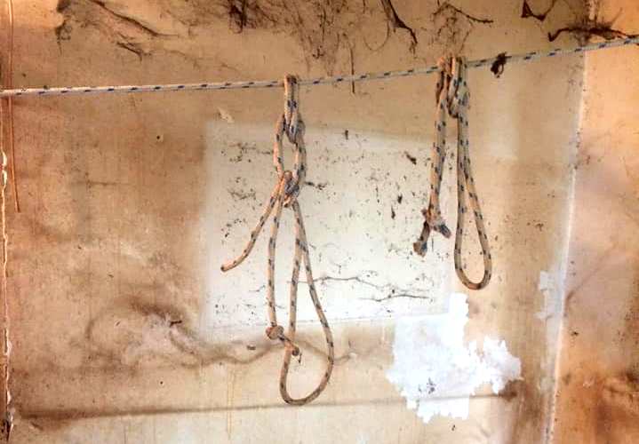 Εικόνες φρίκης στο Μοσχάτο: Δεκάδες πτώματα και σκελετοί ζώων σε σπίτι – κολαστήριο (Video – Σκληρές εικόνες)