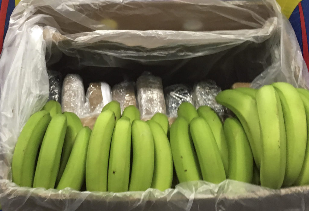 Θεσσαλονίκη: Εντοπίστηκαν 52 κιλά κοκαΐνης σε κοντέινερ με μπανάνες από την Λατινική Αμερική