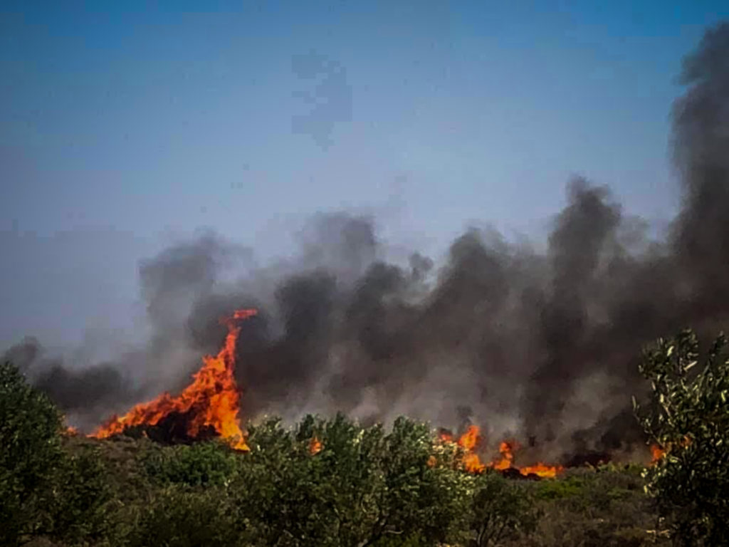 Μαίνεται από το πρωί η φωτιά στην παραδεισένια Ελαφόνησο (Photos+Video)