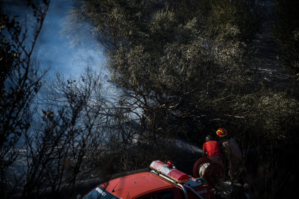 Πυρκαγιά στον Μαραθώνα: Μεγάλη κινητοποίηση της Πυροσβεστικής
