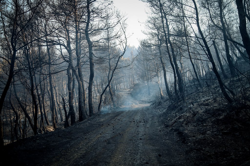 «Κρανίου τόπος» η Εύβοια – Φωτογραφίες και βίντεο από τη μεγάλη καταστροφή (Photos)