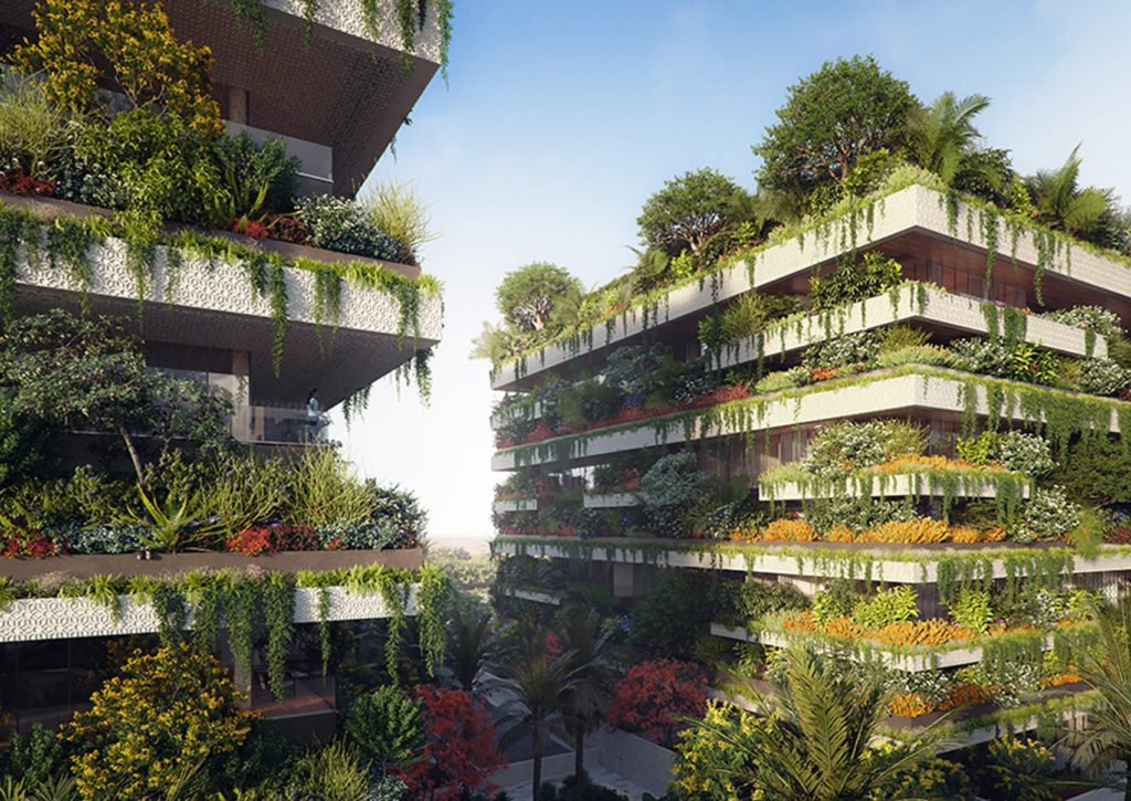 Ξεκινά το φιλόδοξο project των “πράσινων κτιρίων” με χιλιάδες φυτά καταμεσίς της αιγυπτιακής ερήμου