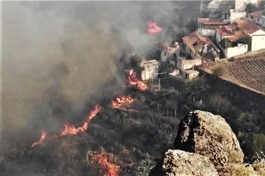 Ισπανία: «Περιβαλλοντική τραγωδία» στο νησί Γκραν Κανάρια από τις συνεχείς πυρκαγιές