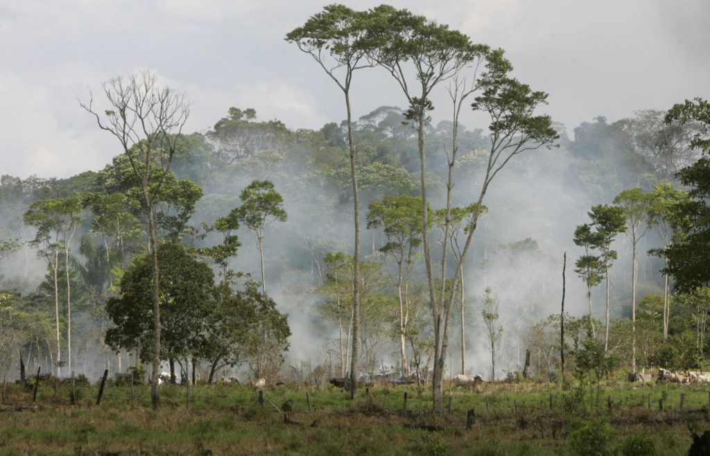 Καίγεται ο Αμαζόνιος, ο πνεύμονας του πλανήτη – Πού ειναι οι ευαίσθητοι που κλαίγανε για την Παναγία των Παρισίων; (Video)