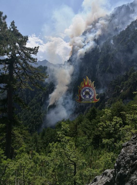 Πυρκαγιά στη Ζίτσα Ιωαννίνων (Video – Photos)