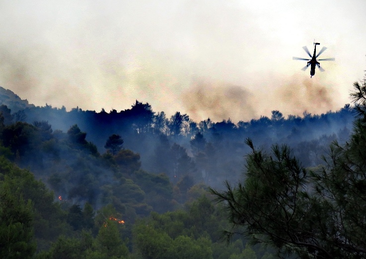 Πυρκαγιά στην περιοχή Βατήσι της Καρύστου Ευβοίας – Ενισχύονται οι δυνάμεις