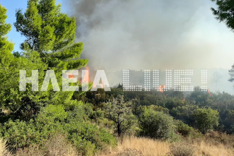 Νέα φωτιά στην Ηλεία κοντά στην μονάδα επεξεργασίας στερεών αποβλήτων
