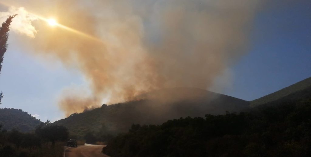 Υπό μερικό έλεγχο η φωτιά στη Ζάκυνθο (Photos)