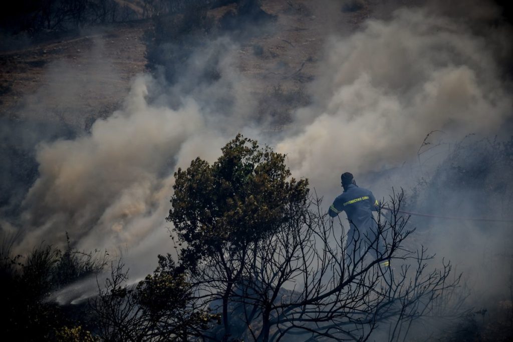 Πυρκαγιά στη Καμηλόβρυση Λαμίας